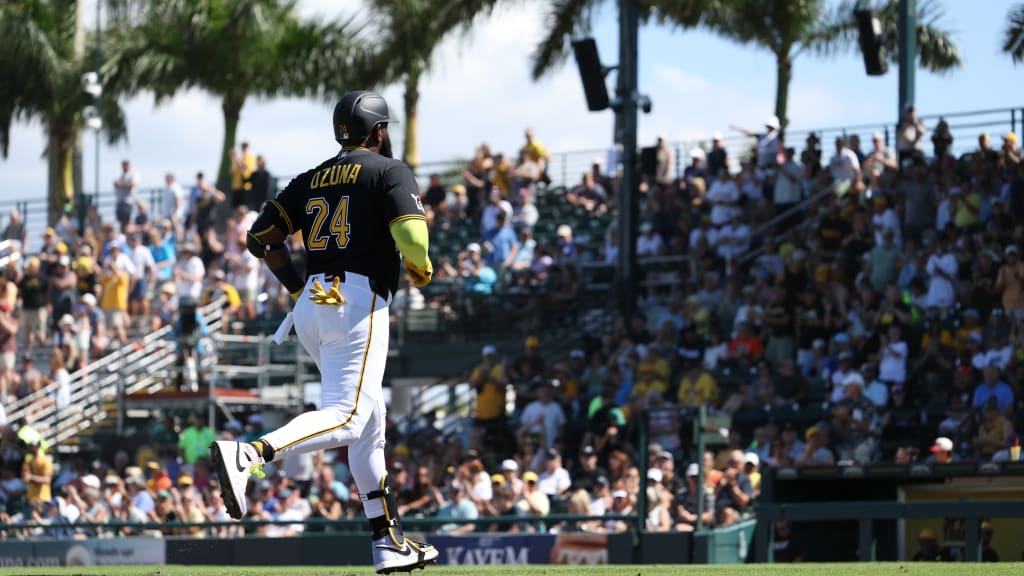 Video length 17 seconds