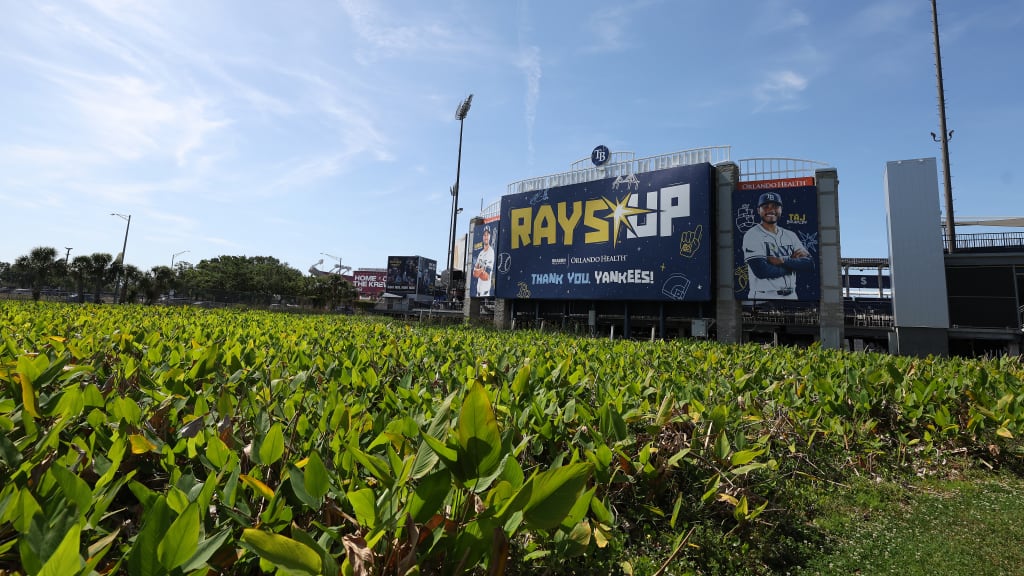 Making their home at Steinbrenner Field is just a temporary fix for the Rays, but they’re certainly grateful that the Yankees helped put a roof over their heads after Tropicana Field sustained heavy damage last October. Anyone driving by the redressed facility will see that message immediately, a large and meaningful “Thank you” from one division rival to another. (Photo Credit: New York Yankees)