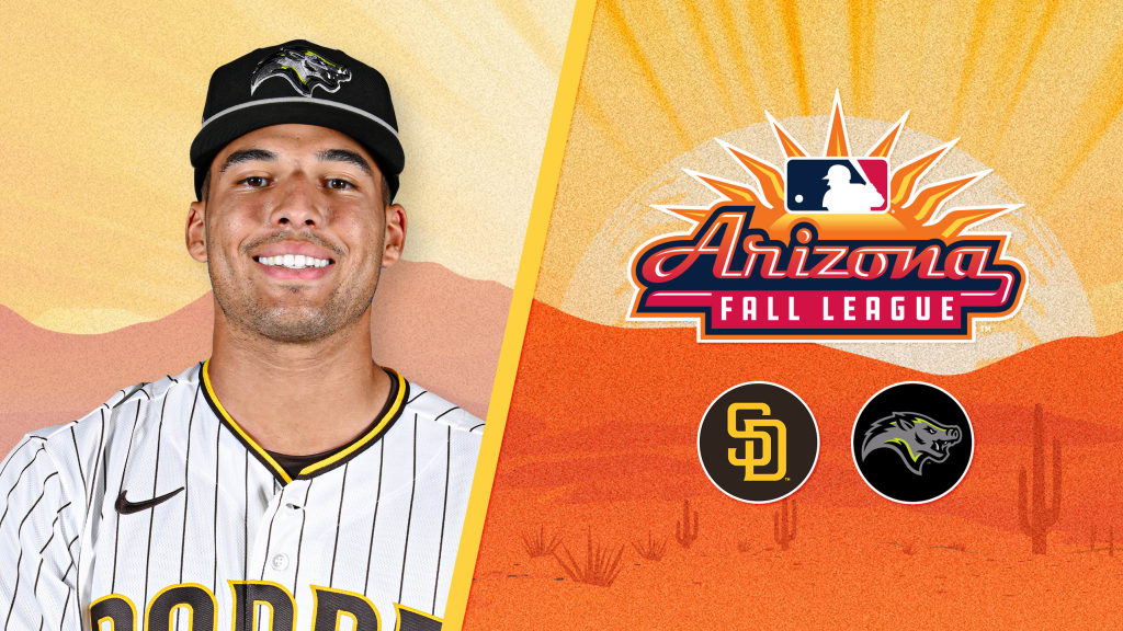 MLB.com editorial image for San Diego Padres: Padres prospect Harvey -- with help from Salas -- developing behind t...