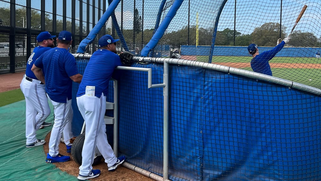 Other, Authentic Blue Jays Batting Practice Jersey