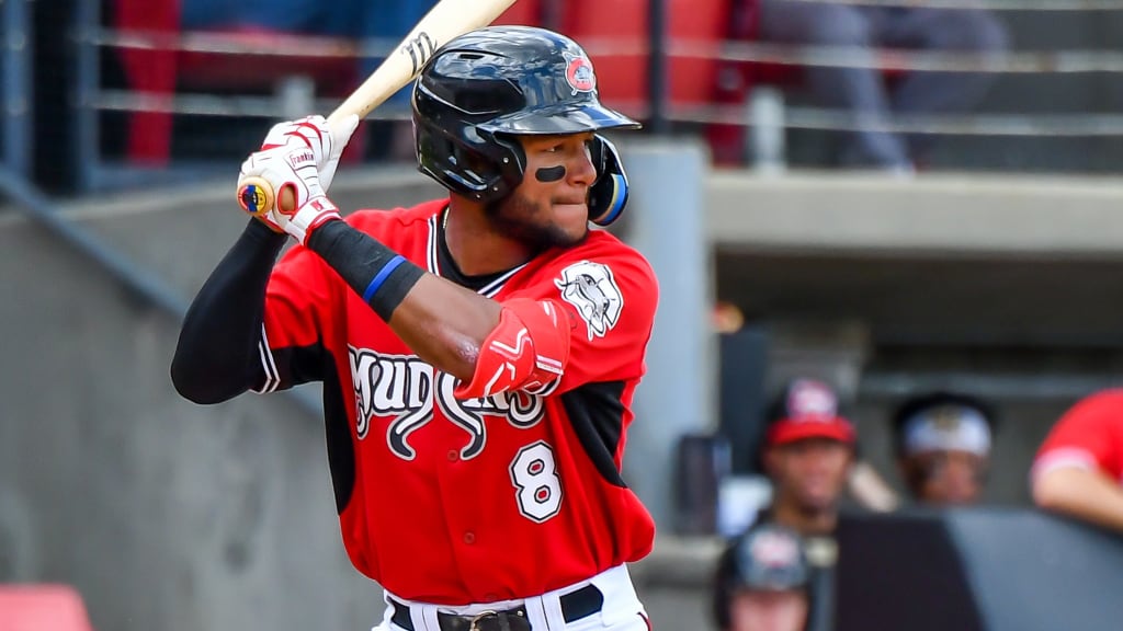 Jackson Chourio is ready to build on his electrifying 2022 campaign. (Neal Hock/Carolina Mudcats)