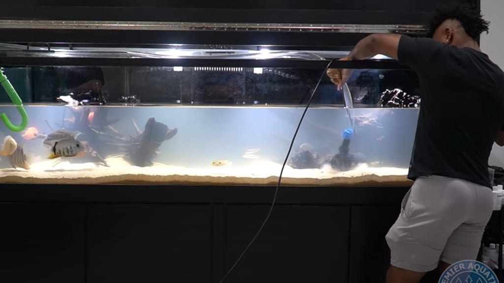 Ozzie Albies Fish: Fact Check: Is Ozzie Albies obsessed with his pet fish?  Braves star reveals water-tank filled house