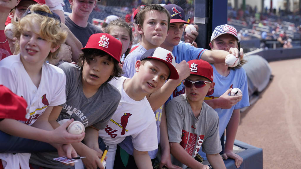 Number of young MLB fans rising