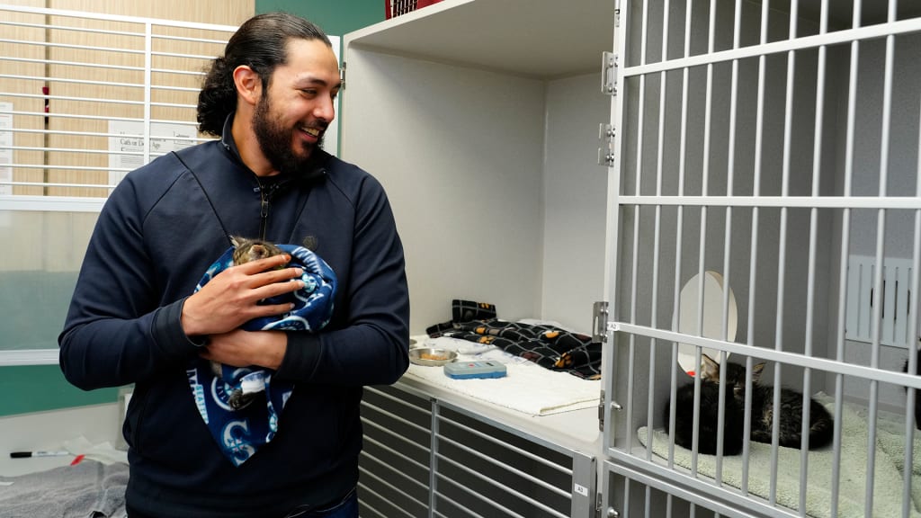 Andrés Muñoz visiting Seattle Area Feline Rescue (SAFR).