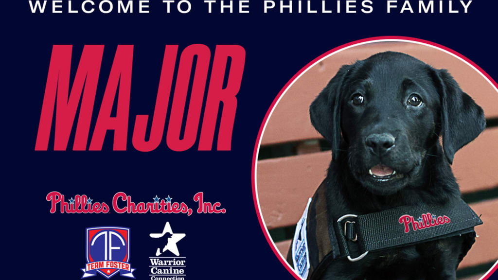 Phillies introduce Major, service dog-in-training, Video