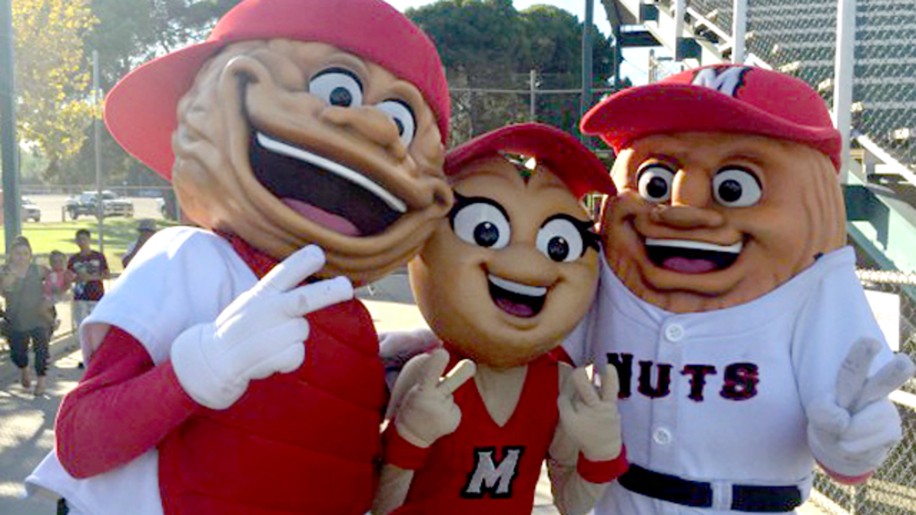 Tell us your favorite minor league baseball mascot in NC
