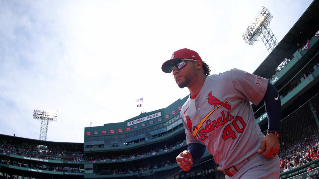 Por qué Contreras encajará a la perfección en los Medias Rojas