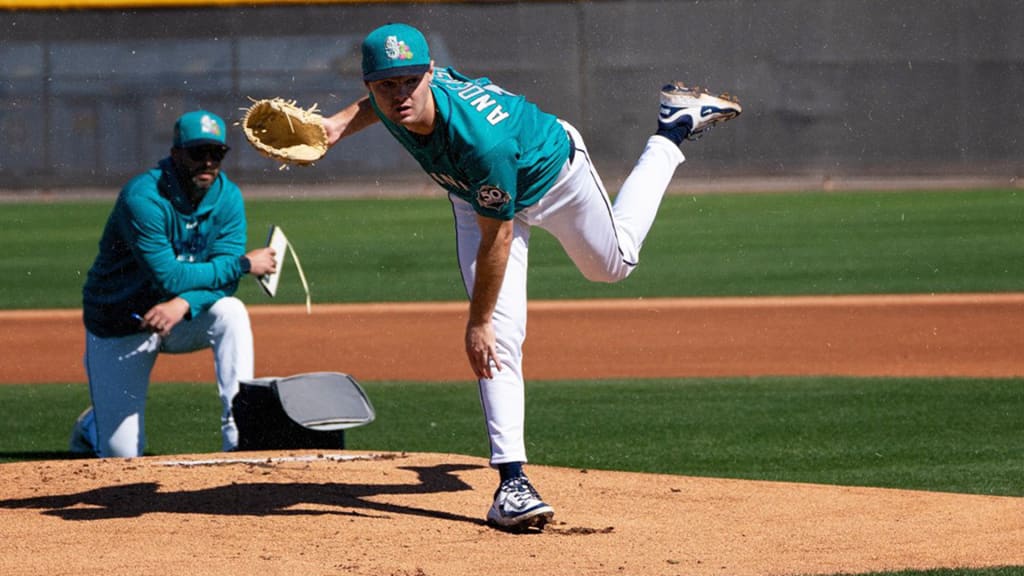 Top prospect Anderson 'just here to strike out batters'