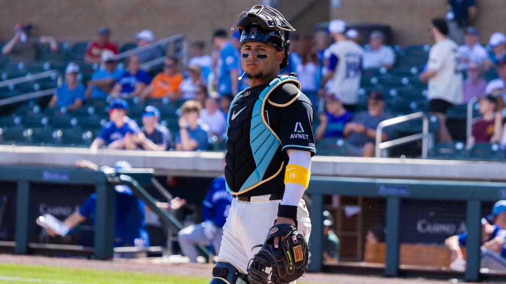 ABS gives Moreno new perspective behind plate