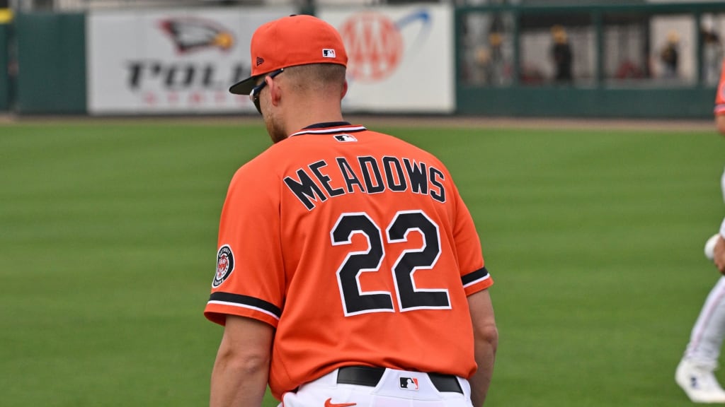 Meadows turning a corner after tweaking swing