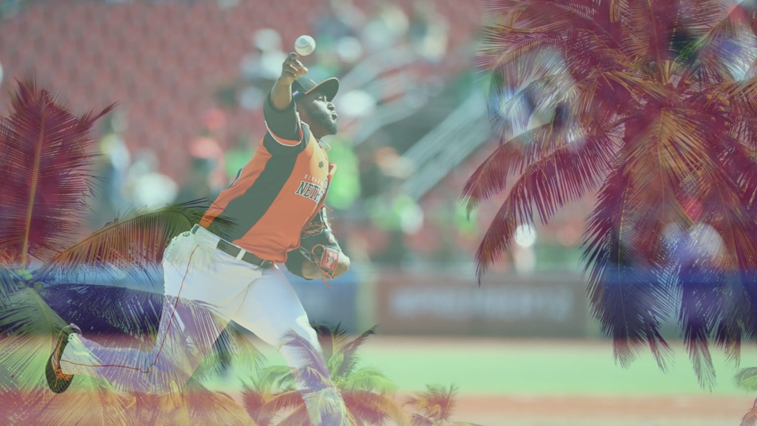 A photo of Netherlands pitcher Franklin Van Gurp is overlayed with palm trees