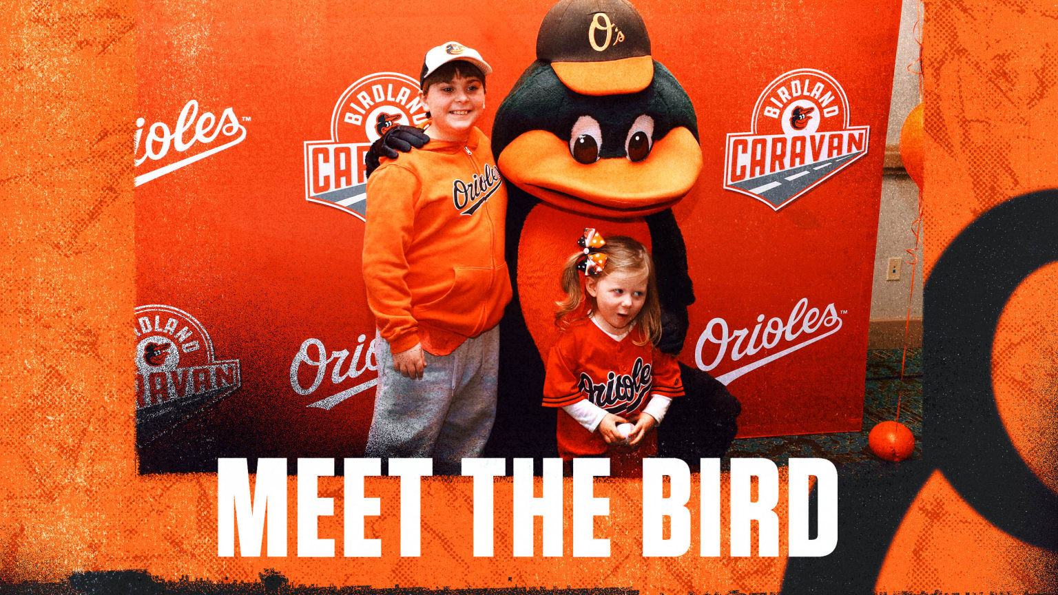 Baltimore Orioles on X: Lights, Camera, Action Jackson 😈 #Birdland, #RavensFlock