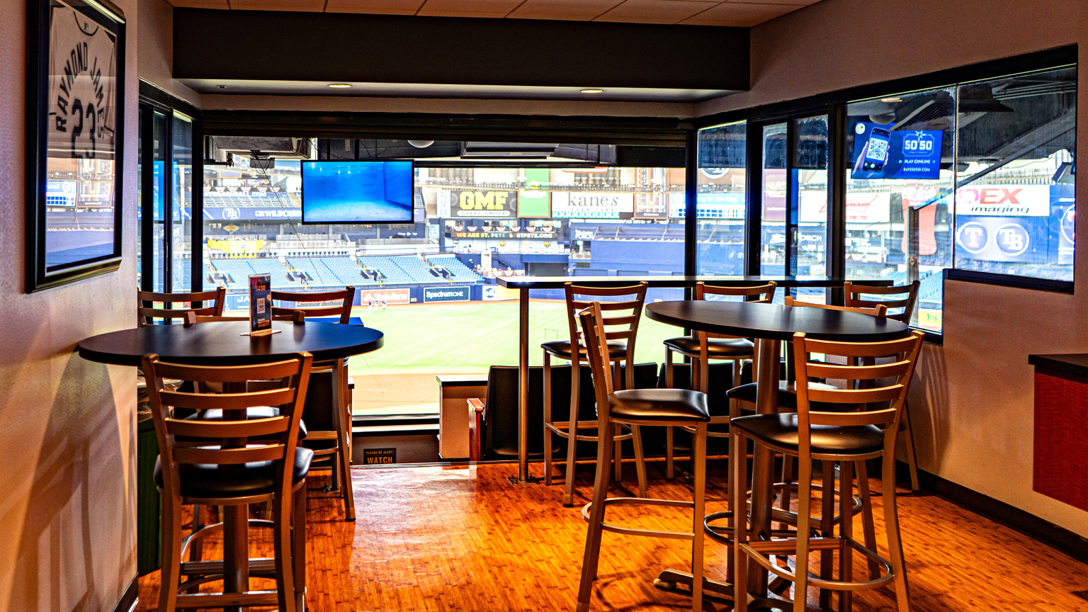 Baseball Game in Tampa Bay Rays Private Suite at Tropicana Field