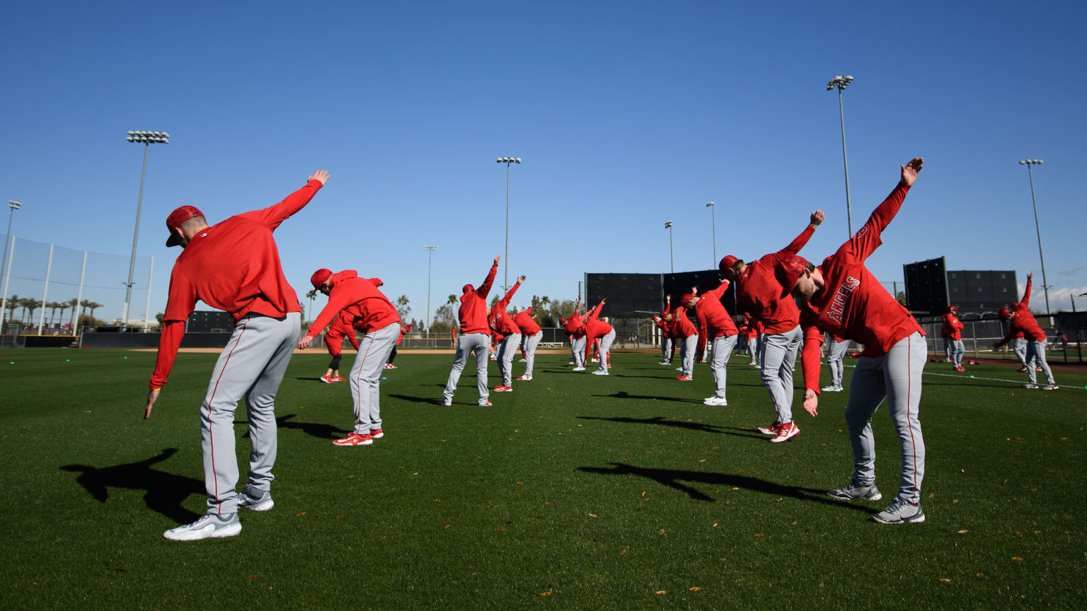 Angels to allow fans at Spring Training