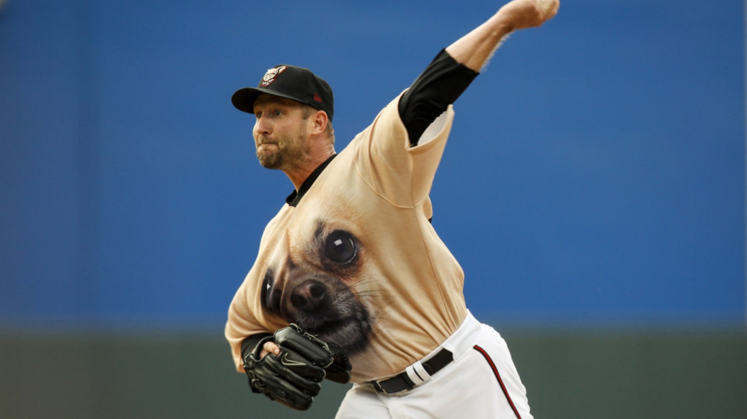 Triple-A El Paso wins Promotion of the Year with magnificent dog uniforms