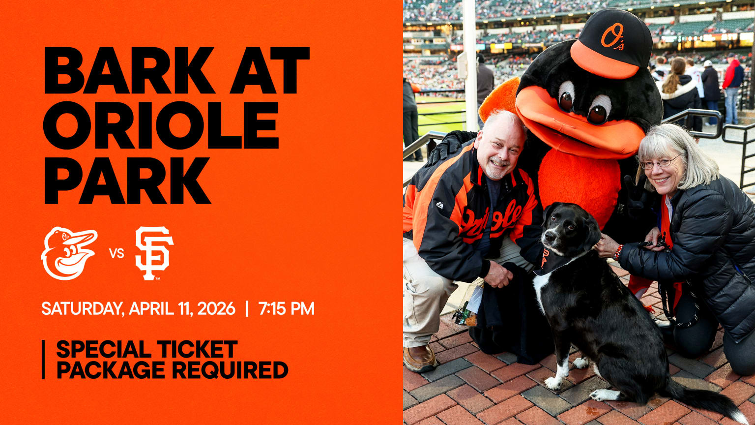 Baltimore Orioles Armband Stack: Baseball Anhänger, Geflochtene