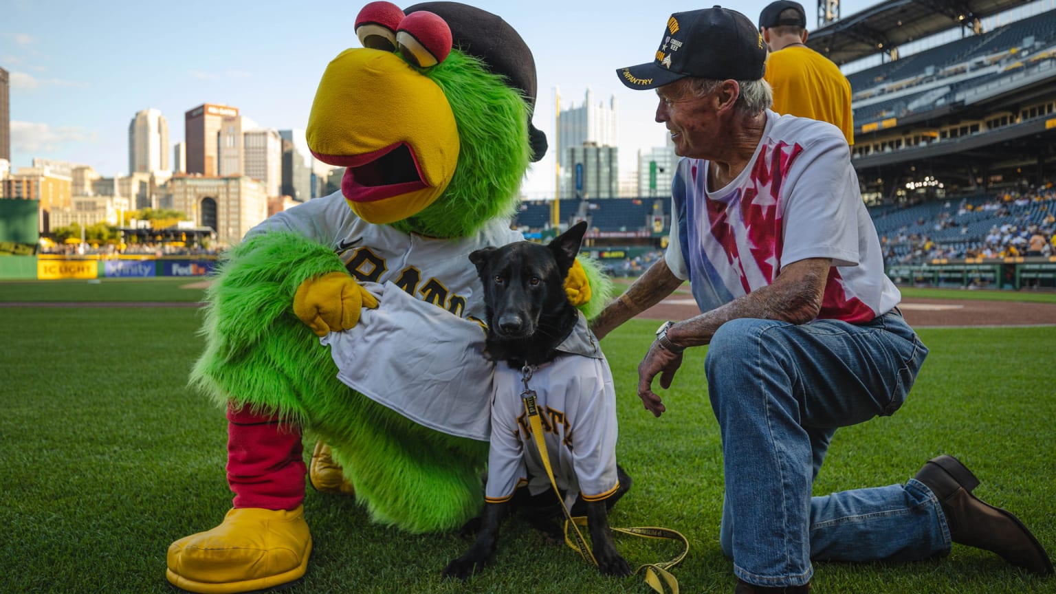 Meet Bucco, The Pirates First Ever Team Dog