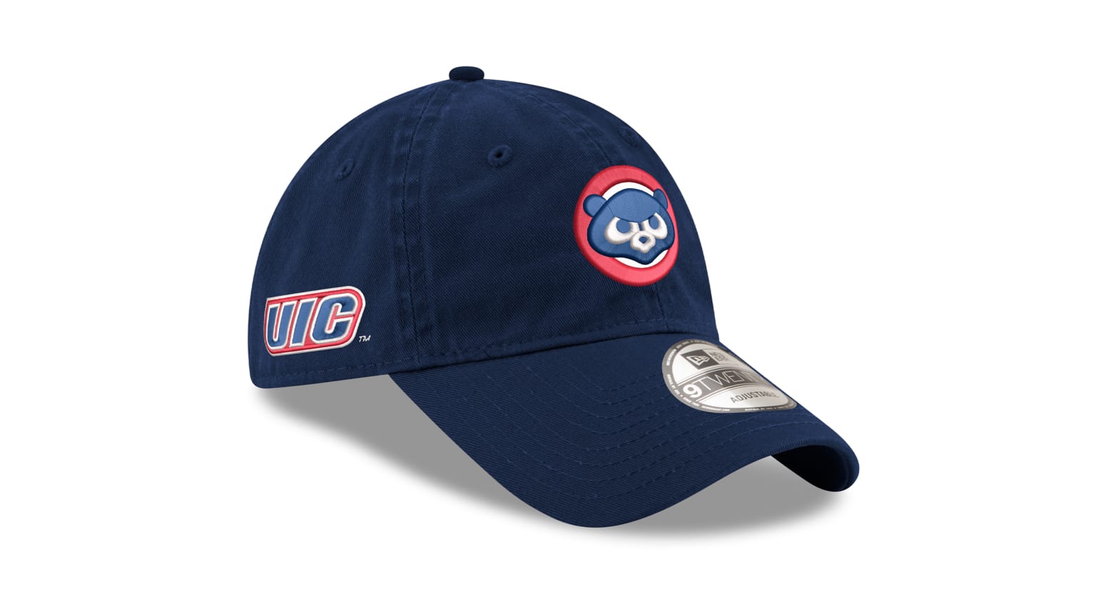 UIC Night with the Chicago White Sox