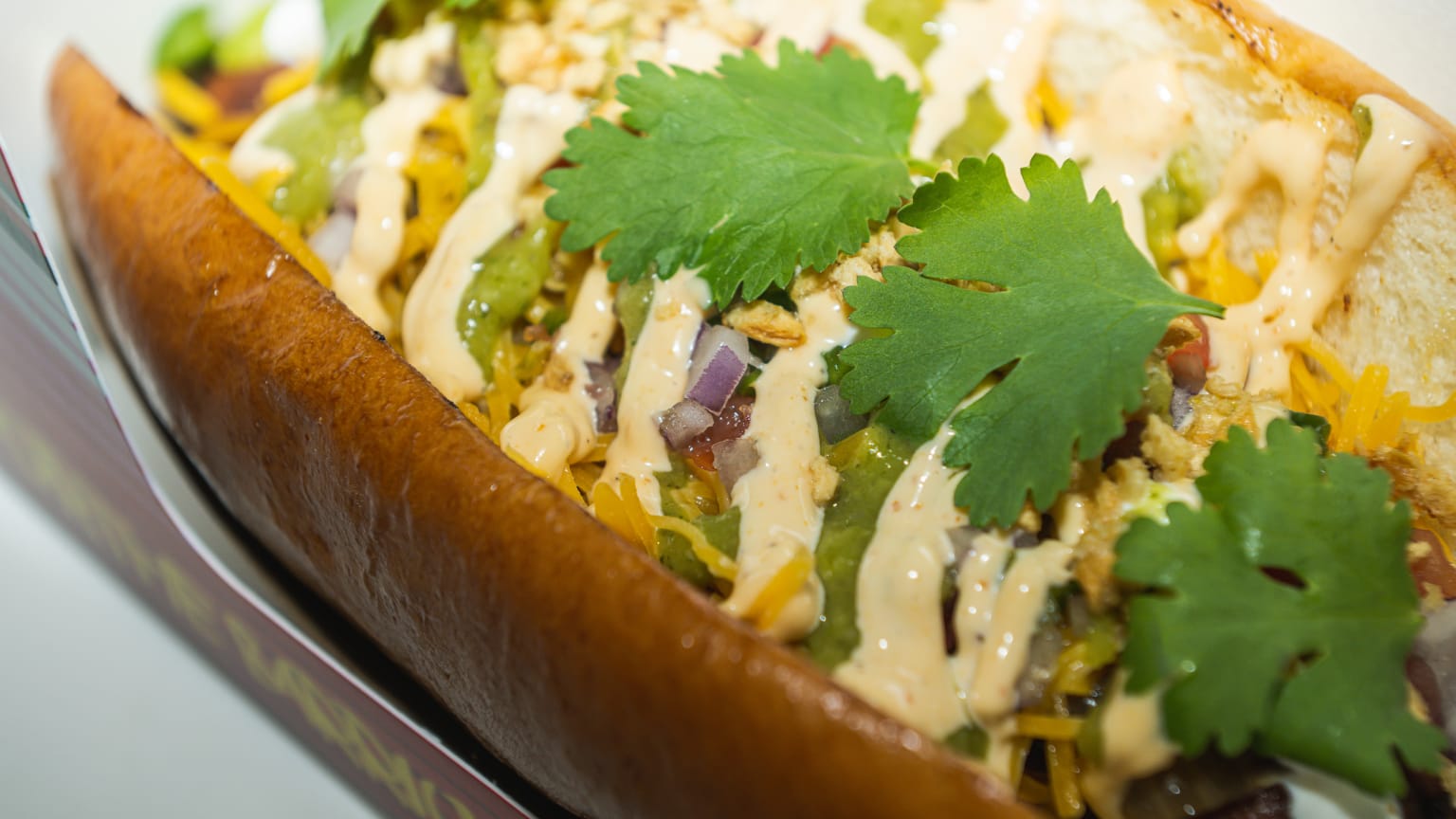 Cubs 2022 Spring Training food: Big beers and big hot dogs!