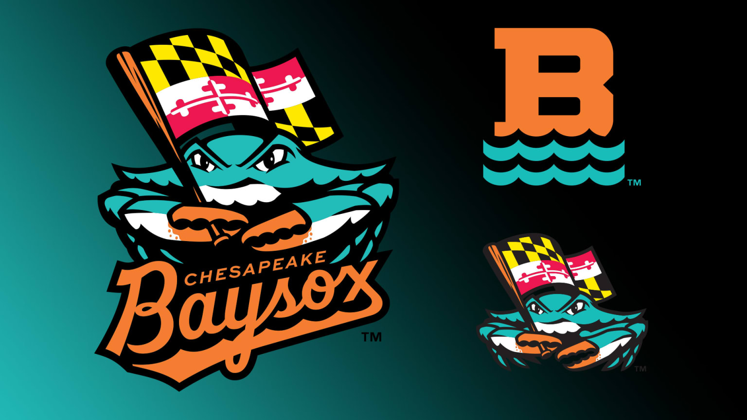 The logos of the newly named Chesapeake Baysox