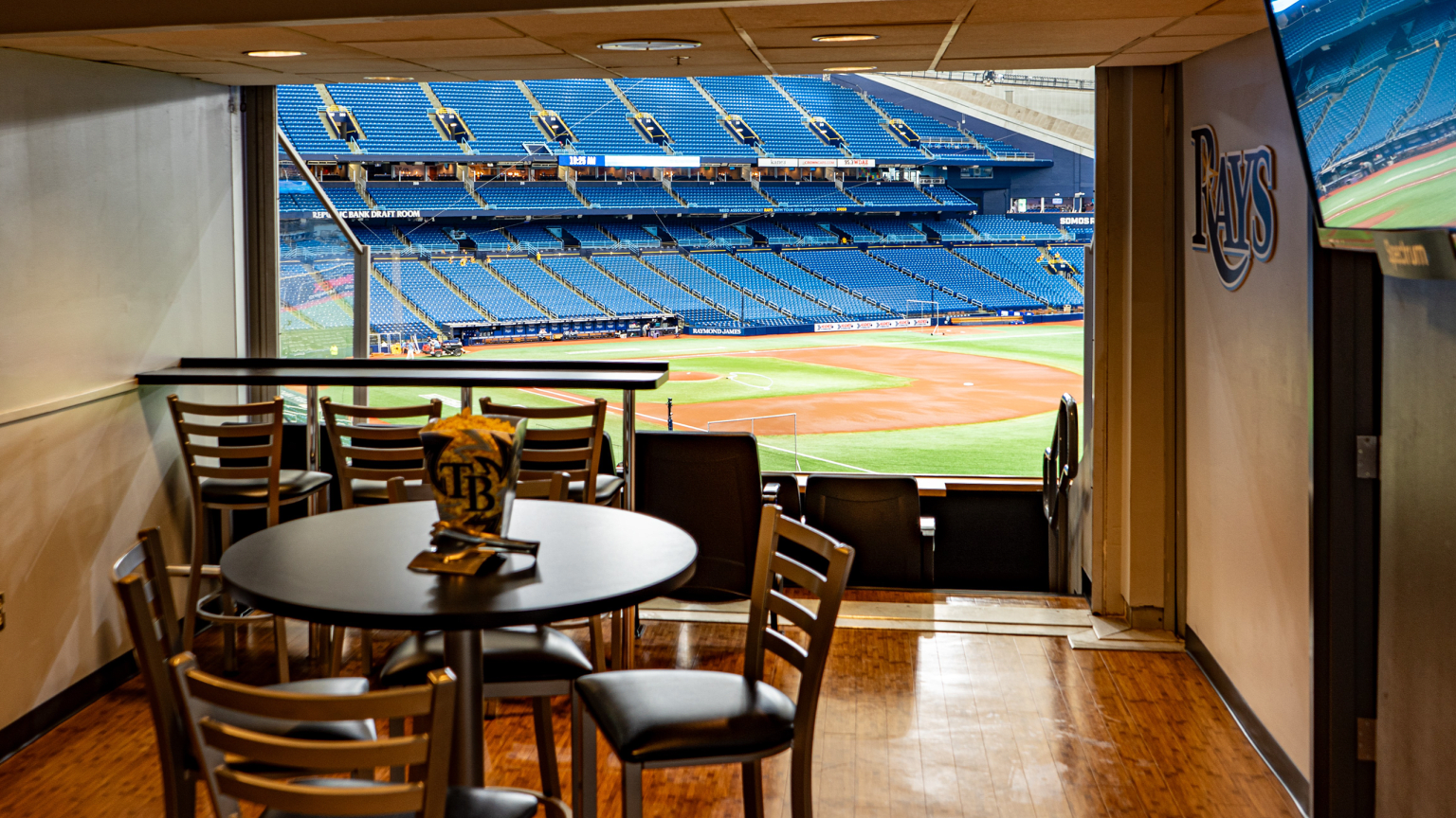 Baseball Game in Tampa Bay Rays Private Suite at Tropicana Field