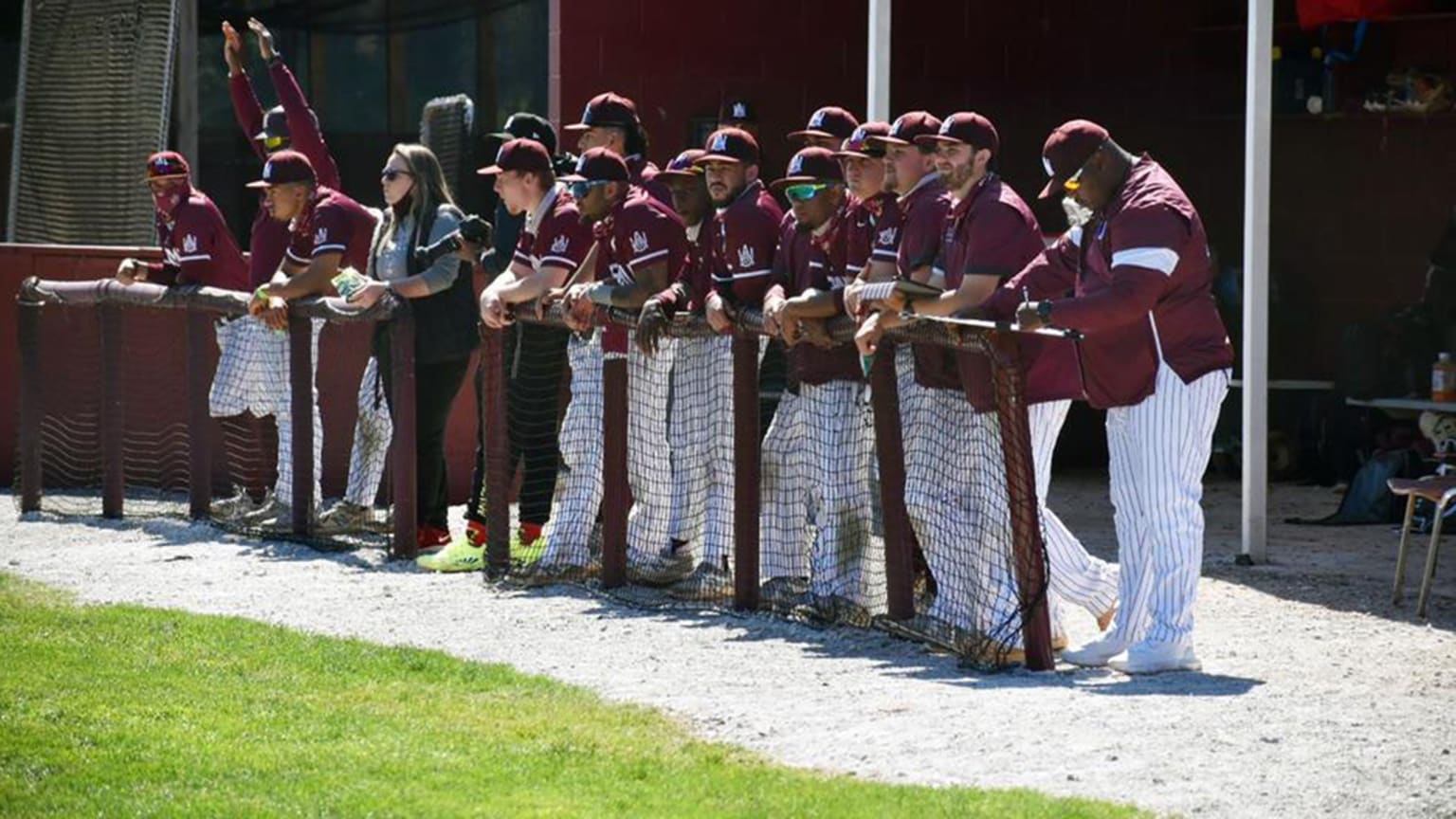 Alabama A&M's baseball team lines the dugout