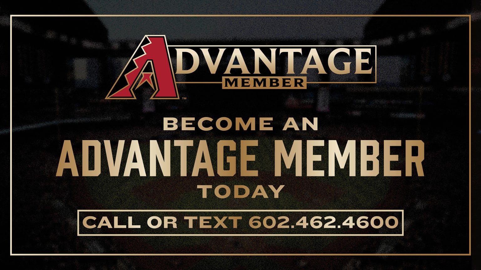 Arizona Diamondbacks Holiday Gift Guide