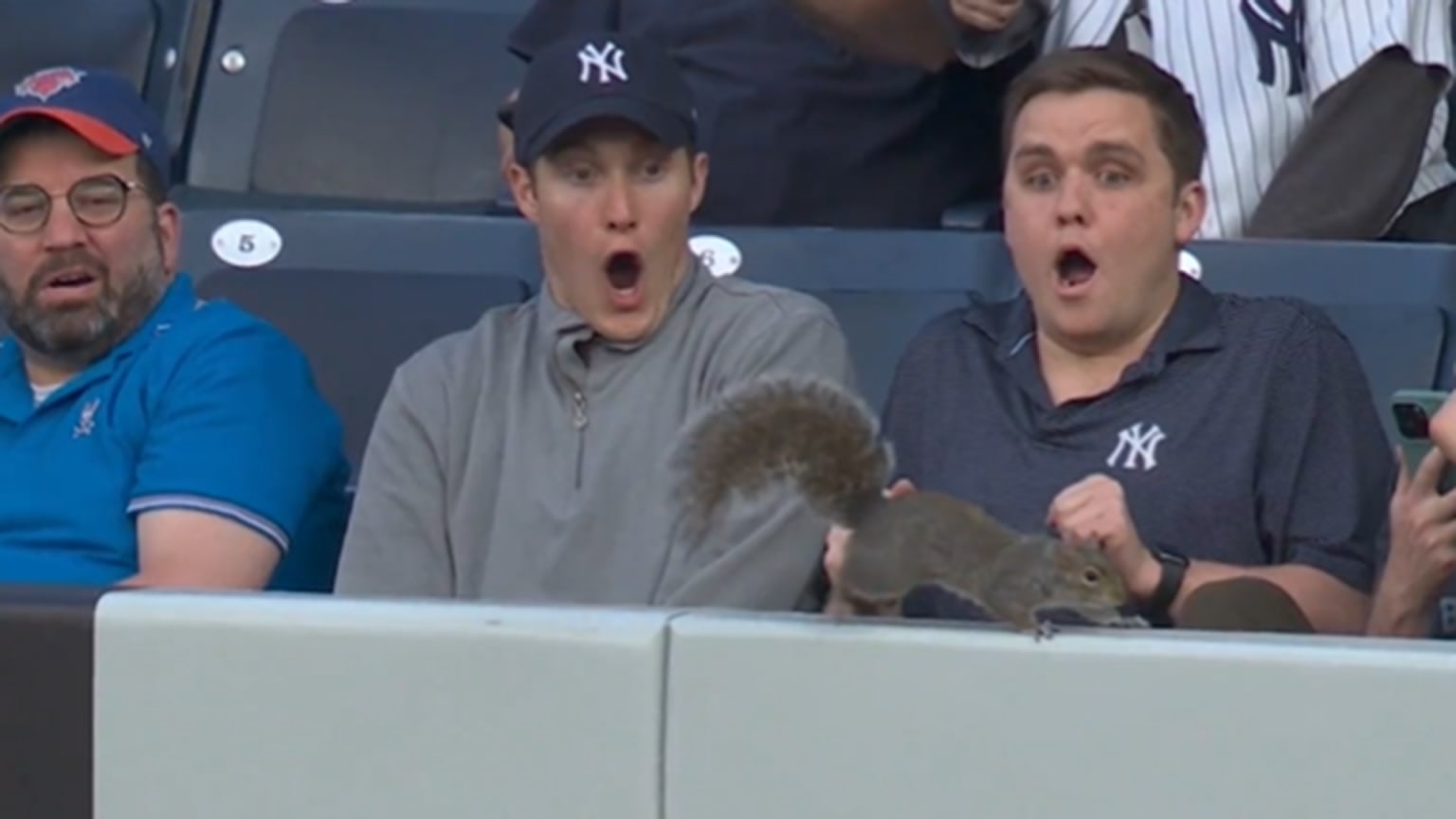 Yankees Fan Catches A Foul Ball, Celebrates For About Five Freakin' Hours