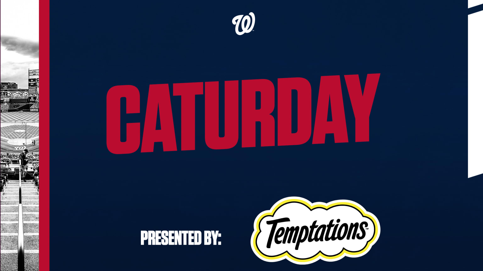 Saturday is Cat-urday at Nationals Park, but leave your cats at home - The  Washington Post