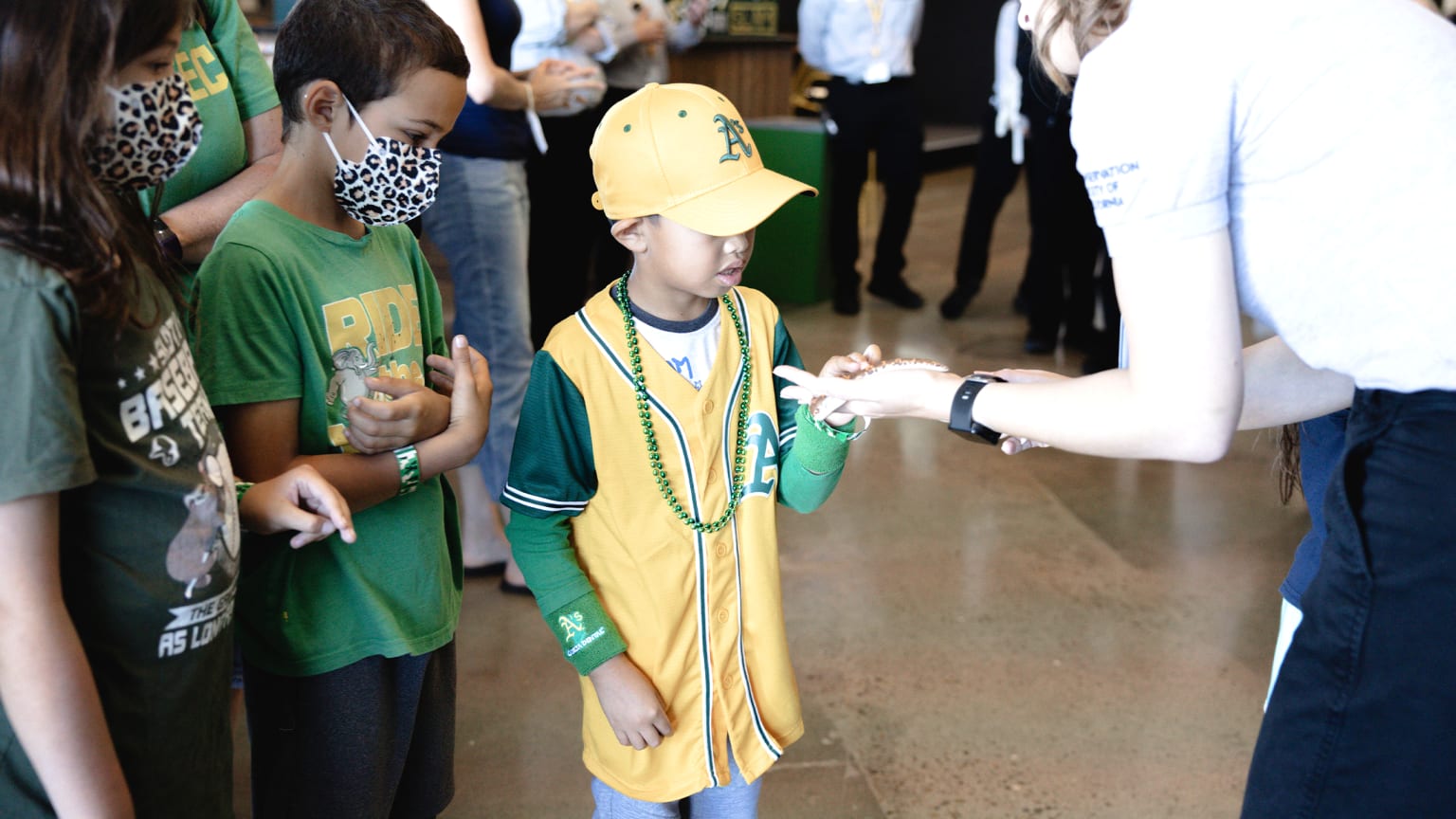 Always oakland A's Toddler & Youth Boy Green and Gold 