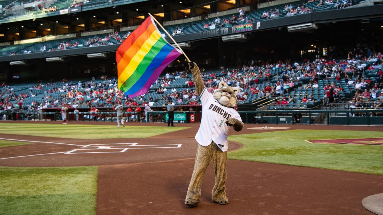 Arizona Diamondbacks MLB BASEBALL 2022 PRIDE NIGHT LGBTQIA Size XL