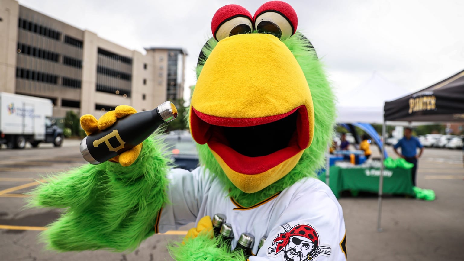 Pirate Parrot - Pittsburgh Pirates - Mascots (MLB Baseball Card