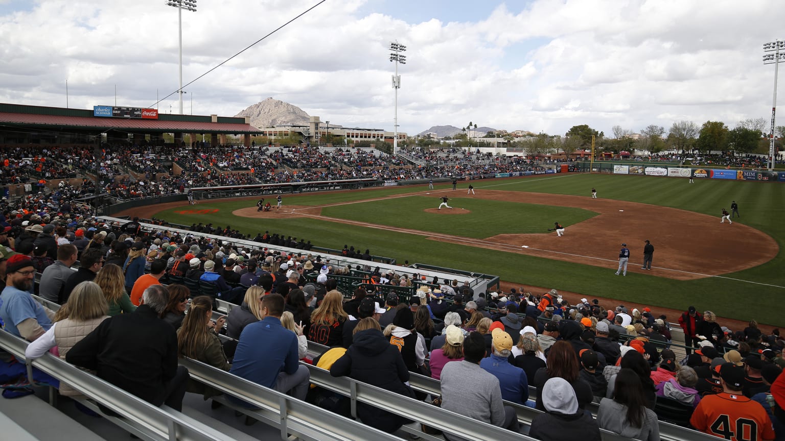 San francisco giants 2024 spring training jerseys