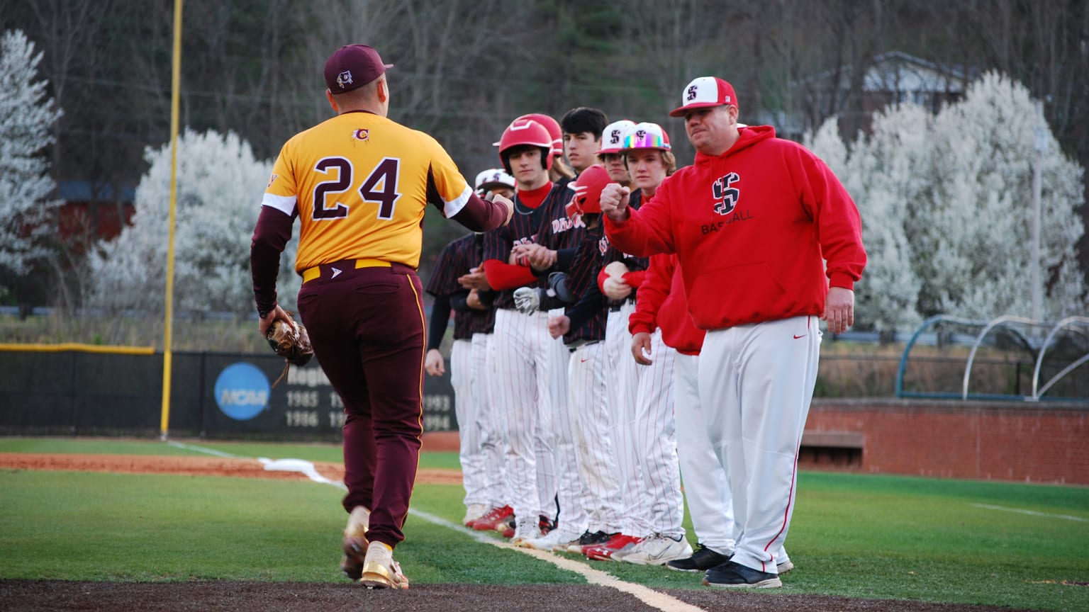 Eastern Band of Cherokee Indians | Atlanta Braves