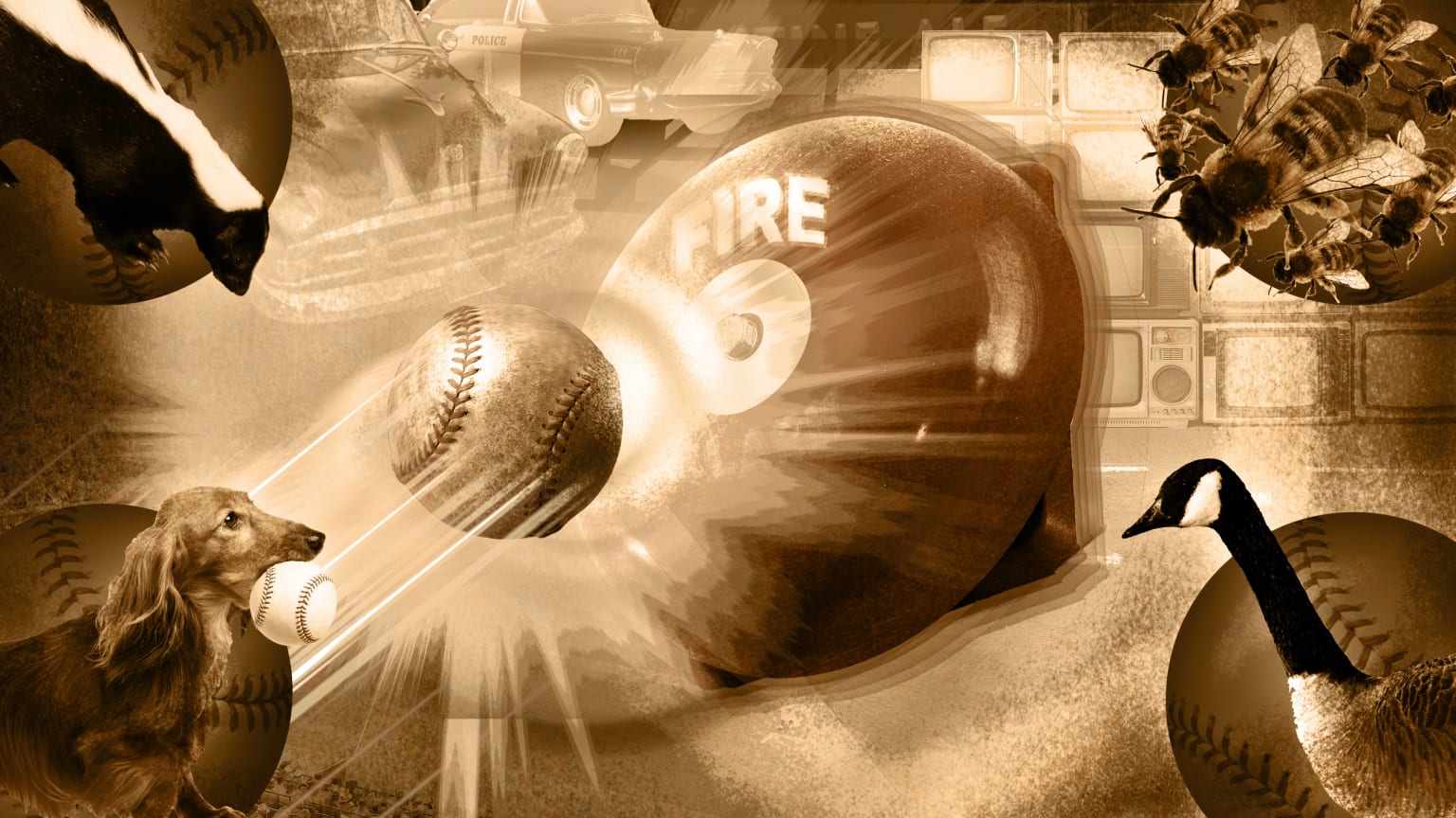 A photo illustration of baseballs, a dog, a fire alarm, bees and a goose