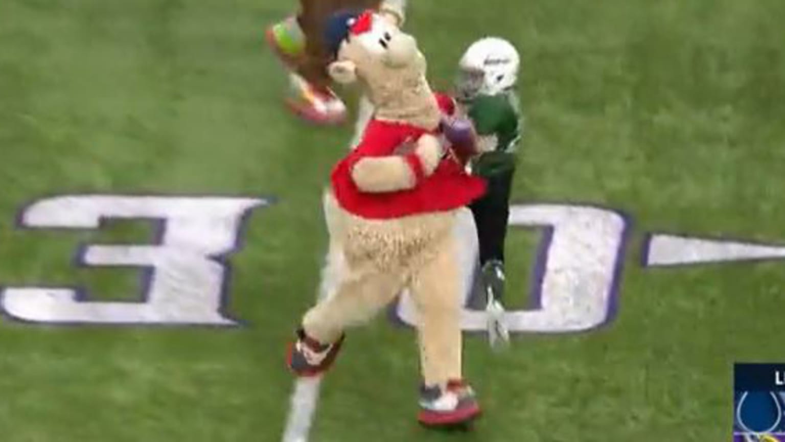 Braves mascot Blooper stiff-arms a kid during a football game