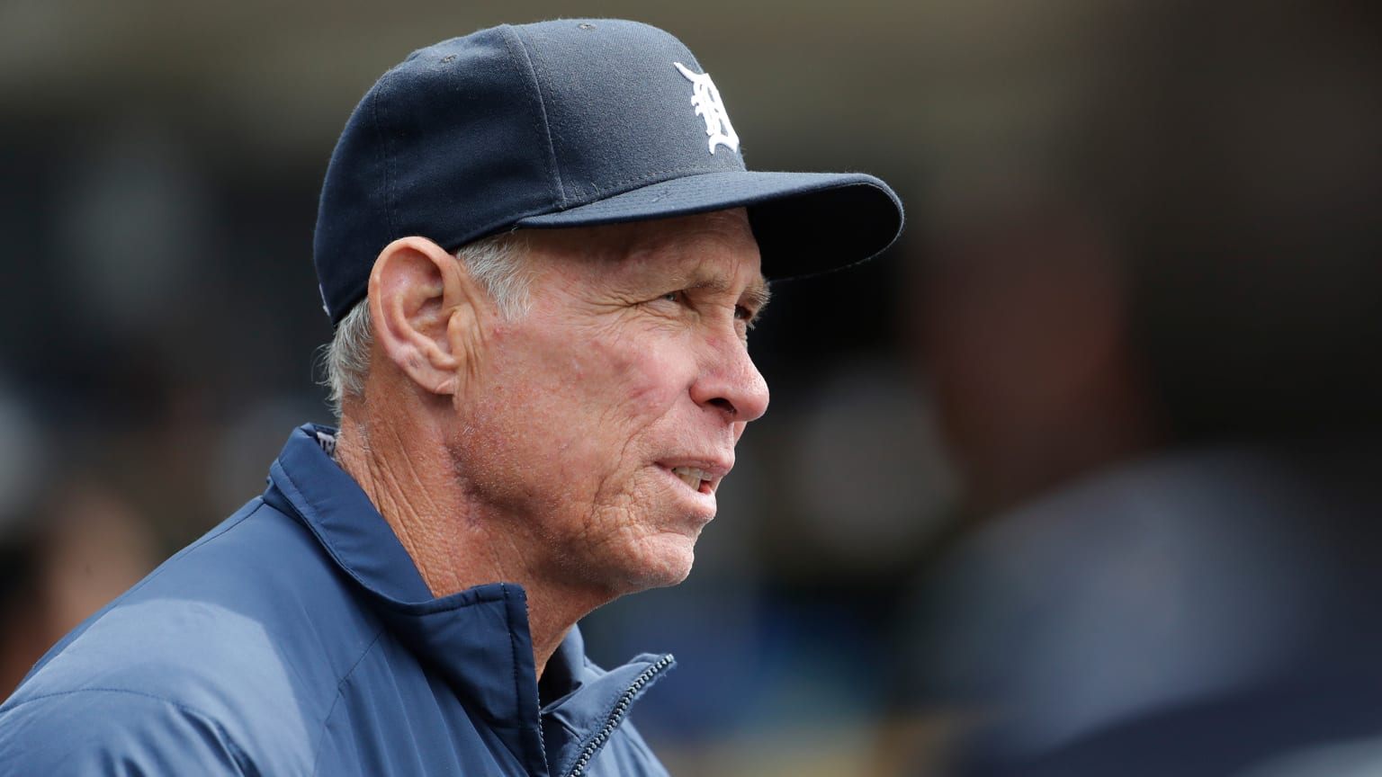 Alan Trammell Spring Training Q&A