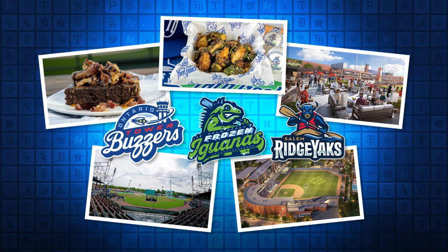 Images of Minor League ballparks and food items, along with logos for the Ontario Tower Buzzers, Palm Beach Frozen Iguanas and Salem RidgeYaks