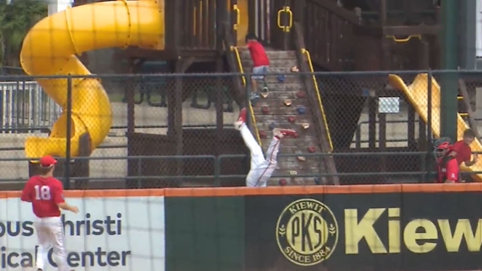 Houston outfielder Drew Bianco's legs can be seen jutting out above the outfield wall after he went over the wall to make a catch
