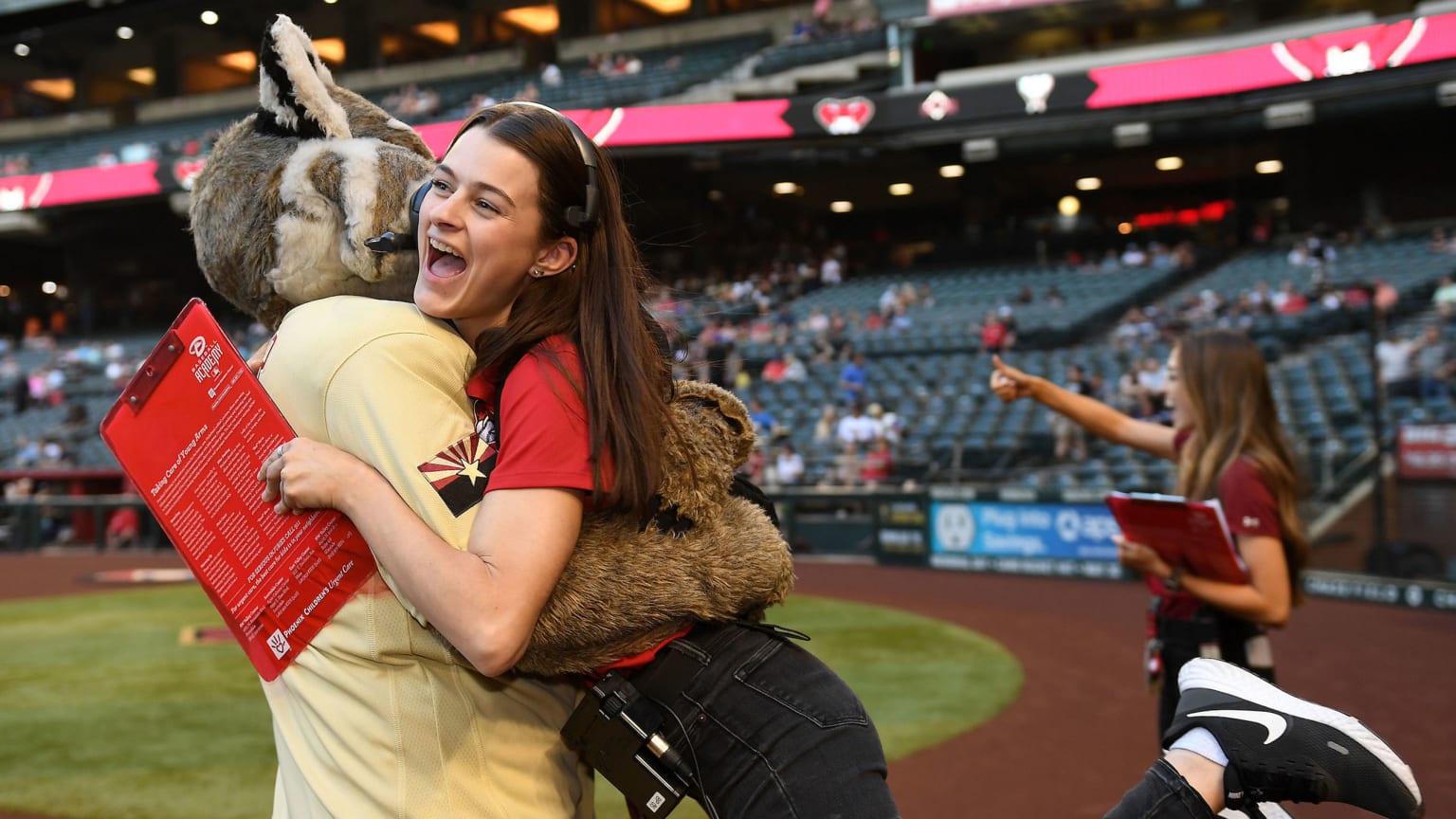 Ladies and Gents, Your Arizona Diamondbacks