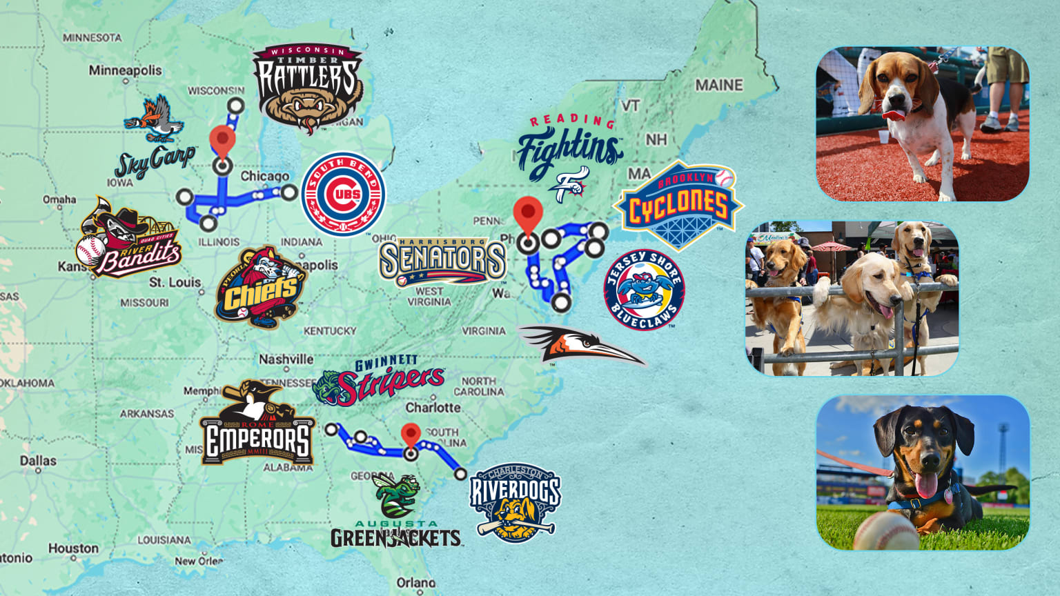 3 Minor League road trips for the dogs this summer