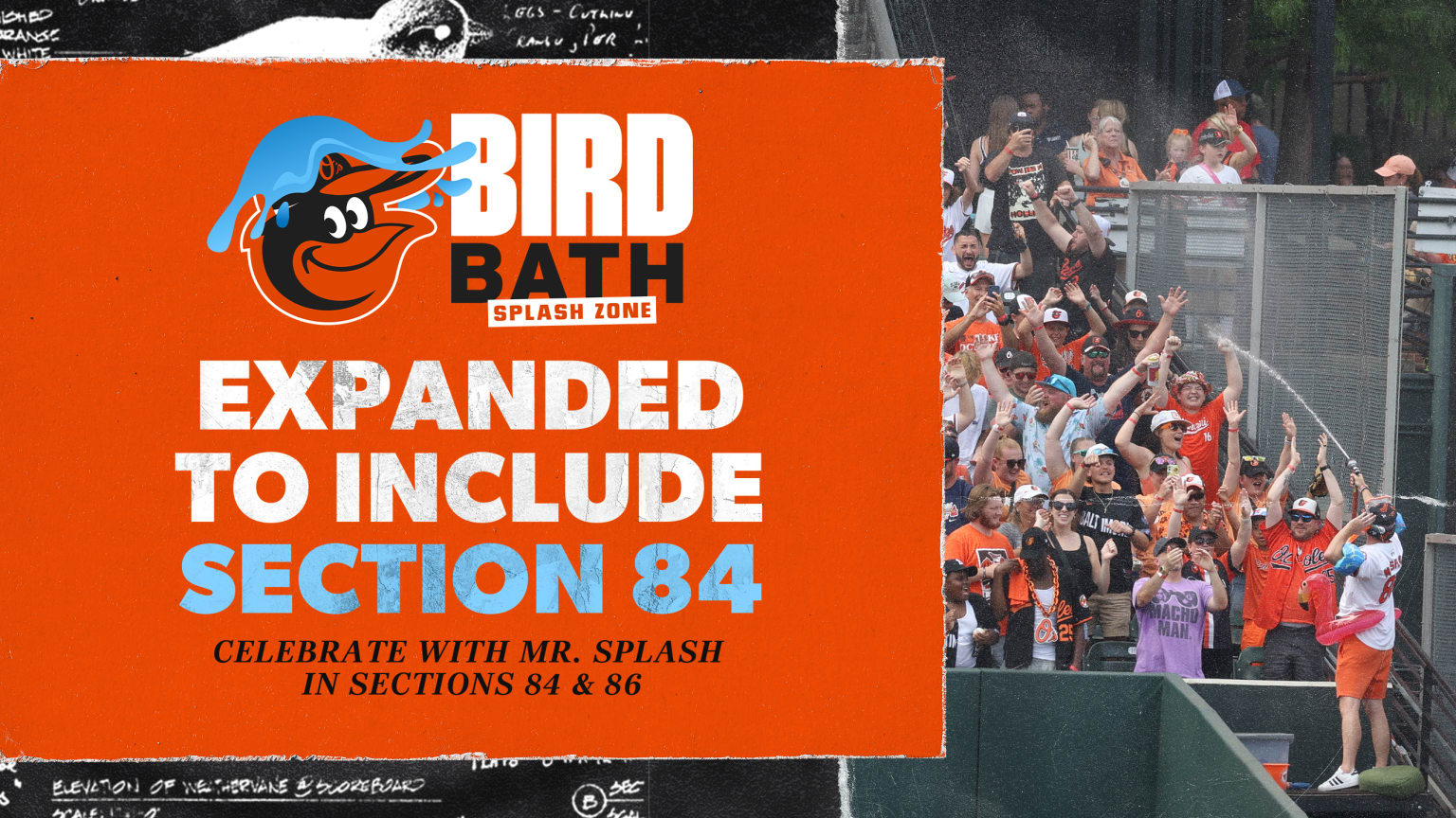 Bird Bath Splash Zone | Baltimore Orioles