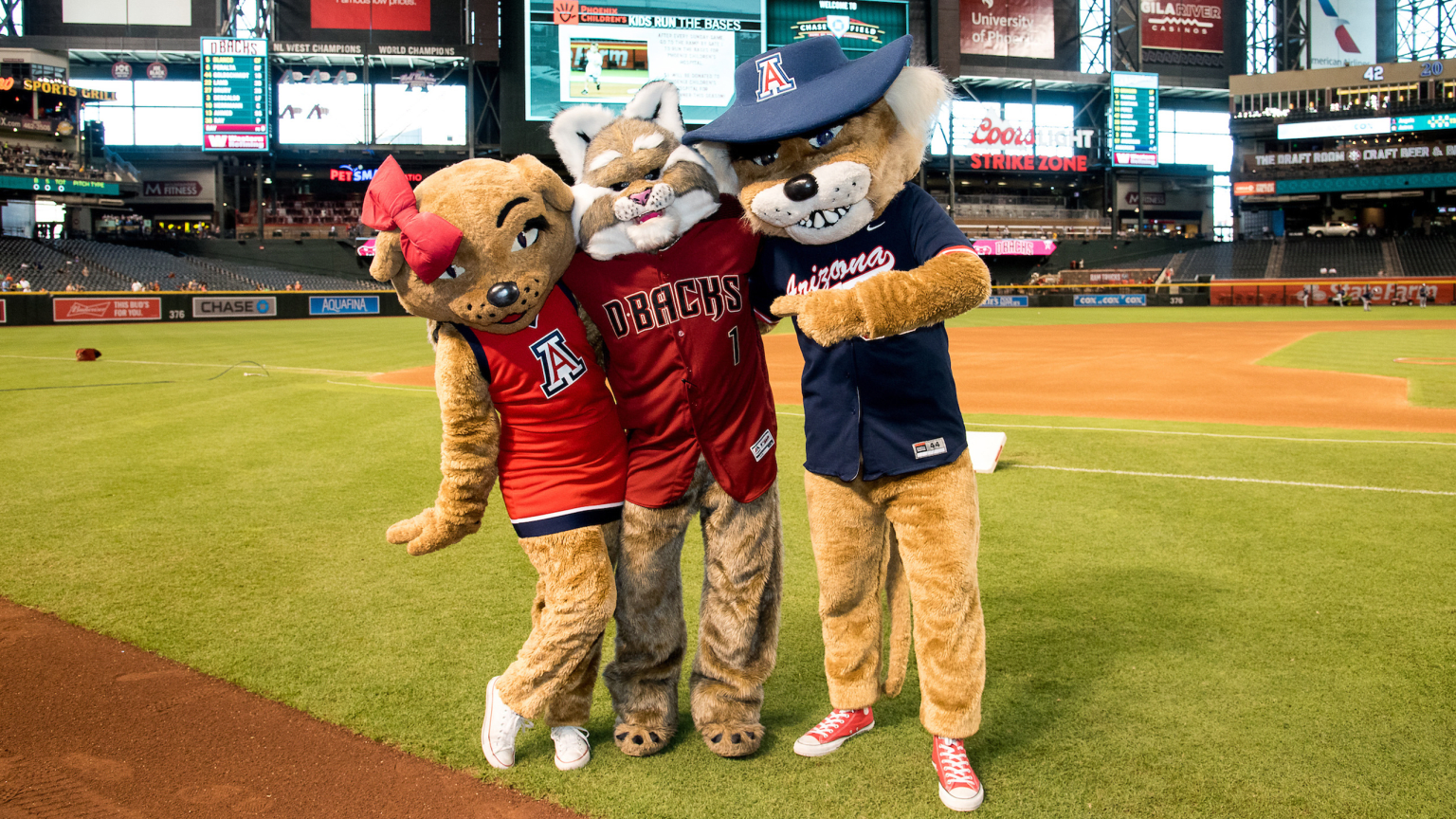 Coyotes rock Diamondbacks themed warm up jerseys for Dbacks Night