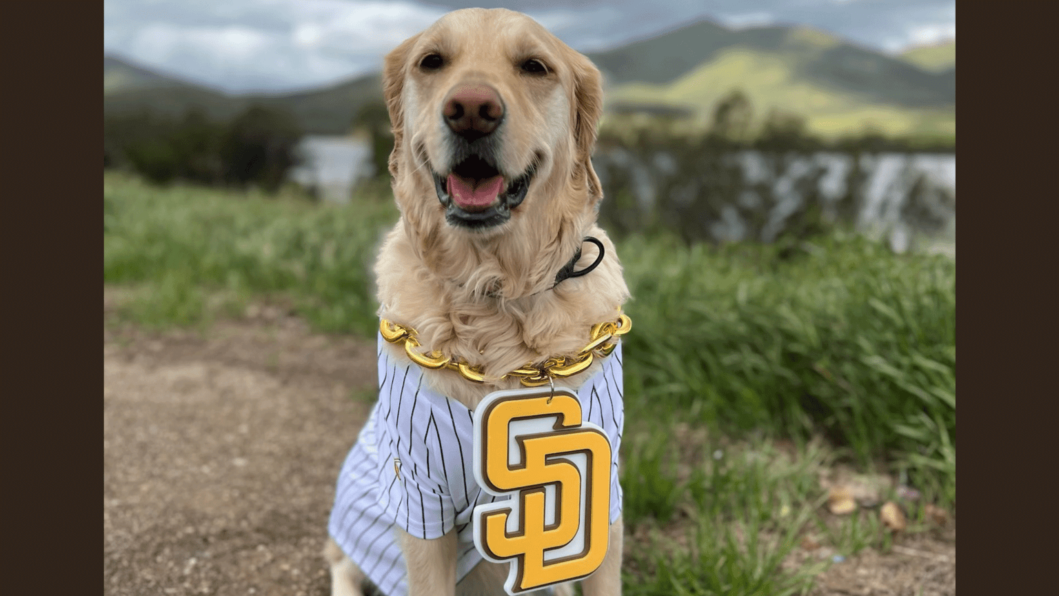 The Paw Squad  San Diego Padres