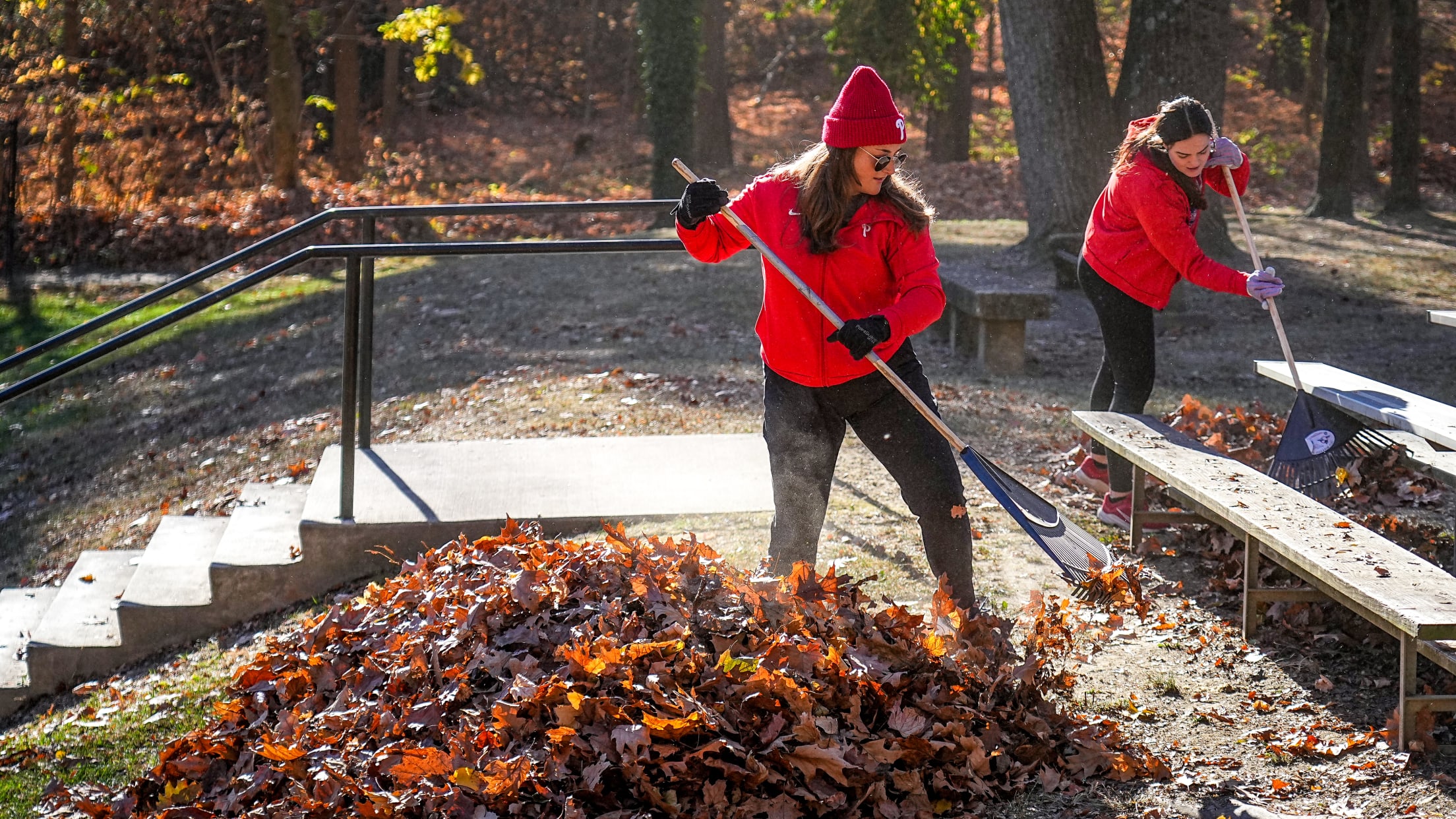 DPMFieldCleanup06688