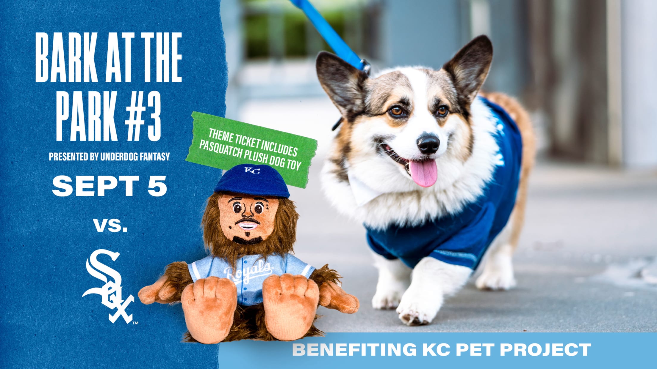 Bark at the Park Kansas City Royals