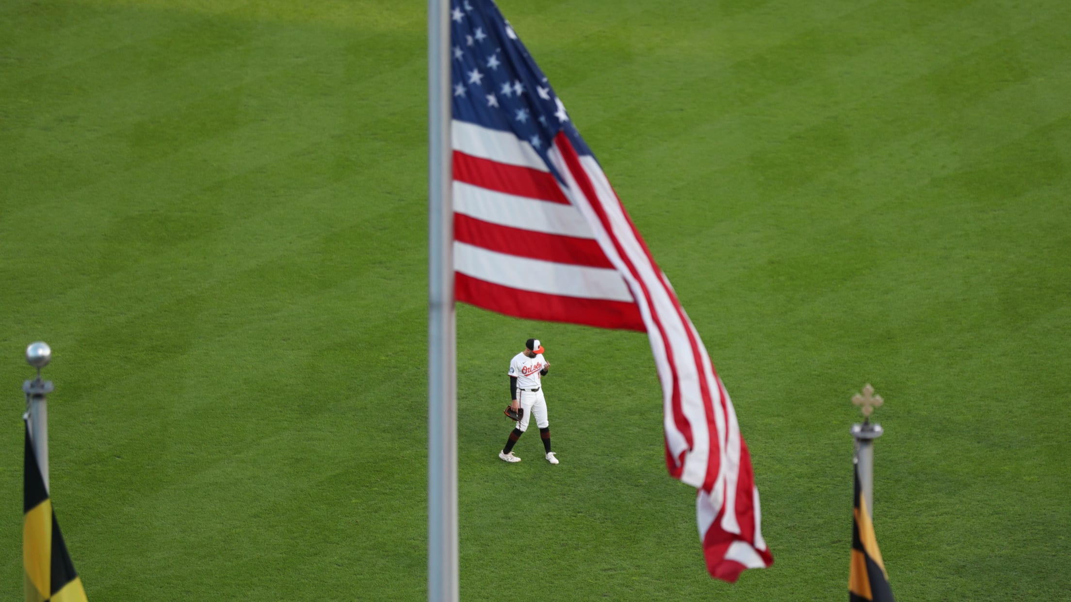 bal_Birdland_Insider_Connor_Photos_015