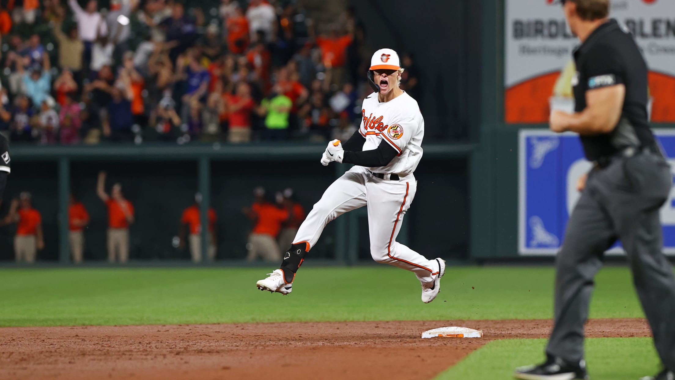 Baltimore Orioles on X: We asked our two team photographers to pull their  top 10 photos from the 2022 season. Which is your favorite? 📸 View the  full gallery here:   /