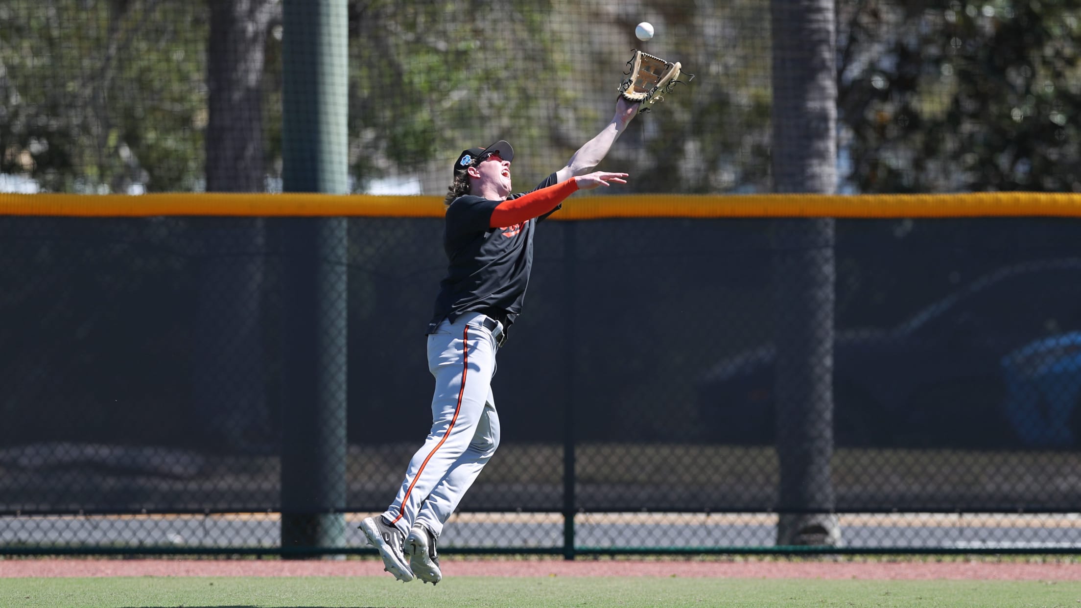 Os_BI_MiLBFarmSystem - 007