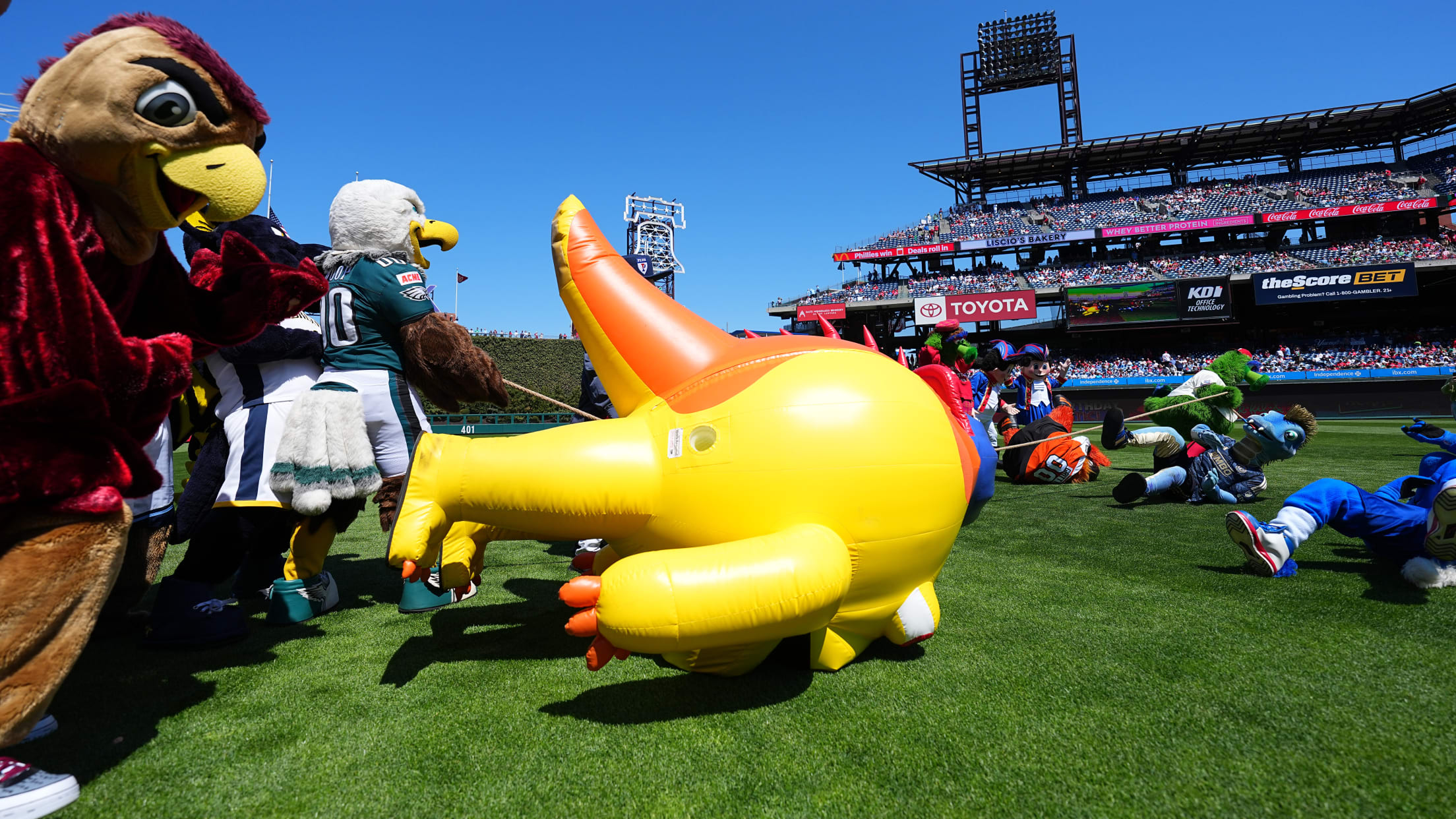 Phanatic_Birthday11582